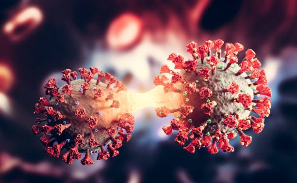Image of Corona Virus
