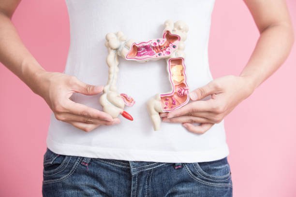 Image of a women holding internal organ 3D Diagram