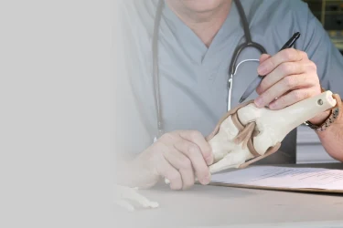 Orthopedic doctor examining a patient at Kapadia Multispeciality Hospital, Goregaon West, Mumbai