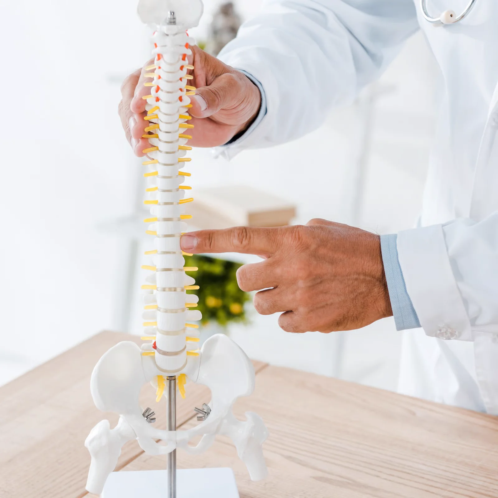 Manual therapy for the back and spine at Kapadia Hospital, Mumbai